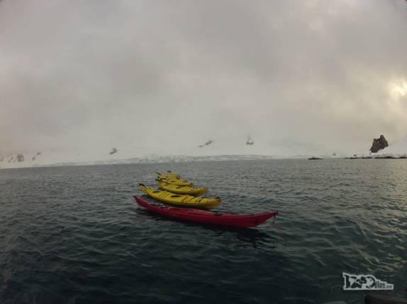 Mais uma vez os caiaques na água, dessa vez em Half Moon Island, na Antártida